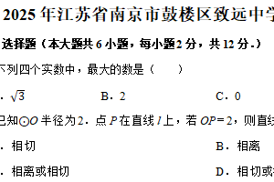 2025年江苏省南京市鼓楼区致远中学九年级数学二模考前模拟考试（含解析）