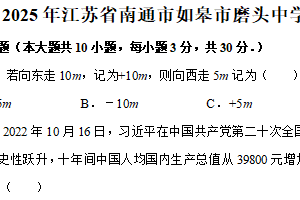 2025年江苏省南通市如皋市磨头中学中考数学模拟试卷（含解析）