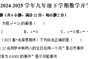 江苏省南京市2024-2025学年九年级下学期数学开学适应性模拟测试卷（含解析）