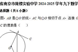 江苏省南京市鼓楼实验中学2024-2025学年九年级下学期数学第一次月考前模拟练习题（含解析）