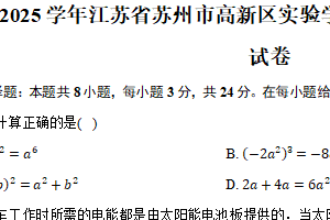 江苏省苏州市高新区实验学校2024-2025学年下学期九年级模拟考数学试卷（含解析）　