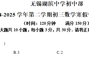 江苏省无锡市湖滨中学2025年九年级寒假作业检查数学试卷（含答案）