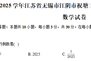 江苏省无锡市江阴市祝塘第二中学2024-2025学年九年级下学期第一次段考数学试卷（含解析）