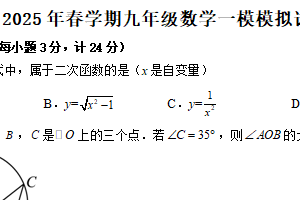 江苏省盐城市阜宁县实验初级中学2024-2025学年下学期九年级数学一模模拟试卷（含答案）