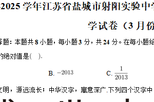 江苏省盐城市射阳实验中学普通班2024-2025学年九年级下学期月考数学试卷（3月份） （含解析）