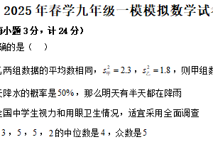 江苏省盐城市射阳外国语学校2025年九年级一模模拟数学试卷（含答案）