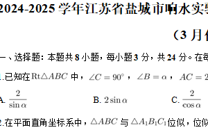 江苏省盐城市响水实验中学2024-2025学年九年级下学期调研数学试卷（3月份）（含解析）
