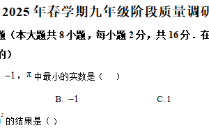 2025年江苏省常州市金坛区数学中考模拟卷二（含解析）