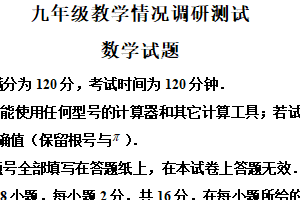 2025年江苏省常州市九年级数学教学情况调研试题（含解析）