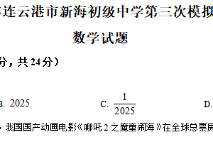 2025年江苏省连云港市新海初级中学九年级数学第三次模拟试题（含解析）
