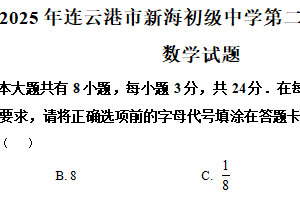 2025年江苏省连云港市新海初级中学中考二模数学试题（含解析）