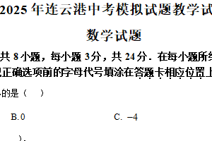 2025年江苏省连云港市新海初级中学中考数学一模试题（含解析）