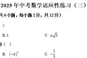 2025年江苏省南京联合体中考三模数学科试题（含解析）