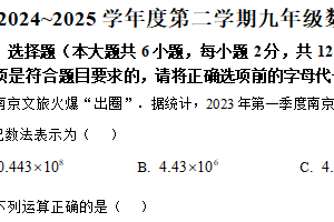 2025年江苏省南京市江北新区旭东中学零模数学试卷（含解析）