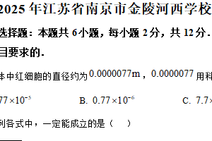2025年江苏省南京市金陵河西学校中考数学模拟试卷（三）（含解析）