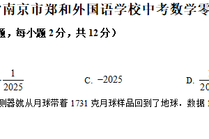 2025年江苏省南京市郑和外国语学校中考数学零模试卷（含解析）