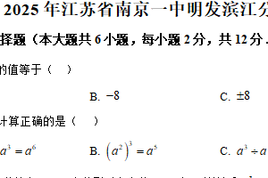 2025年江苏省南京一中明发滨江分校中考数学零模试卷（含解析）