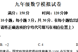 2025年江苏省南通市海安高新区孙庄初级中学九年级数学5月模拟试卷（含解析）