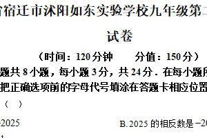 2025年江苏省宿迁市沭阳如东实验学校九年级第二次适应性练习数学试卷（含解析）