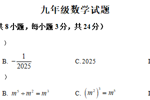 2025年江苏省宿迁市泗洪县中考一模数学试题（含解析）