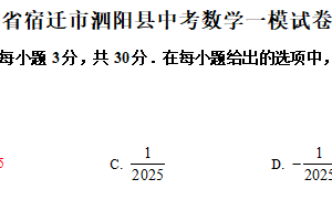 2025年江苏省宿迁市泗阳县九年级中考数学一模试卷（含解析）