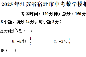 2025年江苏省宿迁市中考数学模拟测试题（含解析）