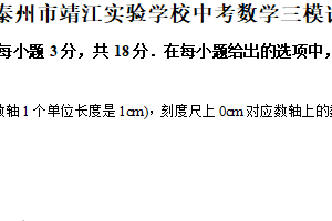 2025年江苏省泰州市靖江实验学校中考数学三模试卷（含解析）