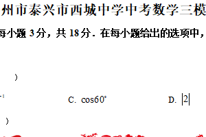 2025年江苏省泰州市泰兴市西城初级中学中考数学三模试卷（含解析）