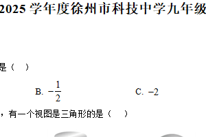 2025年江苏省徐州市科技中学九年级数学中考仿真卷（含解析）