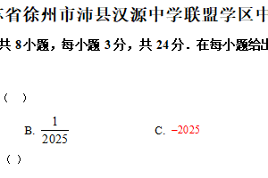 2025年江苏省徐州市沛县汉源中学联盟学区中考数学三模试卷（含解析）