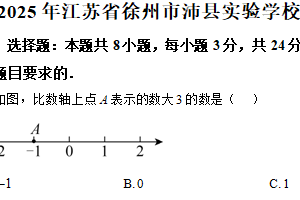 2025年江苏省徐州市沛县实验学校联盟学区中考数学模拟试卷（含解析）