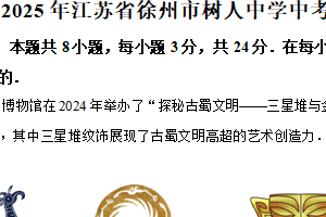 2025年江苏省徐州市树人初级中学中考数学仿真试卷（含解析）