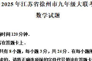 2025年江苏省徐州市中考模拟大联考数学试题（含解析）