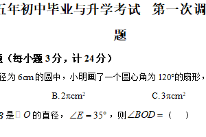 2025年江苏省盐城市大丰区部分校中考第一次检测数学试题（含解析）