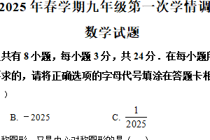 2025年江苏省盐城市阜宁县九年级中考一模数学试题（含解析）
