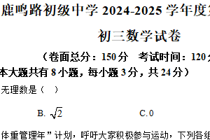 2025年江苏省盐城市两地联考中考一模数学试题（含解析）