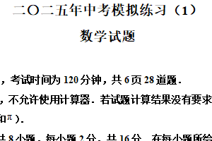 江苏省常州市溧阳市光华初级中学2024-2025学年下学期九年级数学结业考试（含解析）