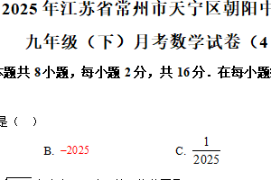 江苏省常州市天宁区朝阳中学等学校2024–2025学年九年级下学期月考数学试卷（4月份）（含解析）