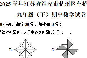 江苏省淮安市楚州区车桥镇第二中学2024-2025学年下学期九年级期中数学试卷（含解析）