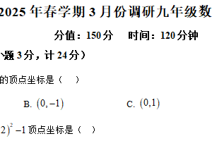 江苏省淮安市洪泽区2024-2025学年九年级下学期3月月考数学试题（含解析）