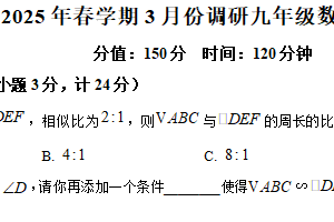 江苏省淮安市金湖县2024-2025学年九年级下学期3月调研月考数学试题（含解析）