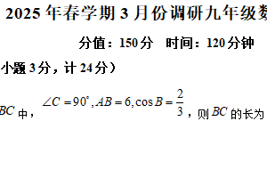江苏省淮安市金湖县2024-2025学年九年级下学期3月月考数学试题（含解析）