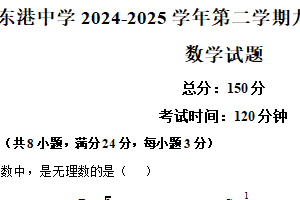 江苏省连云港市东港中学2024-2025学年九年级下学期第一 次月考数学试卷（含解析）