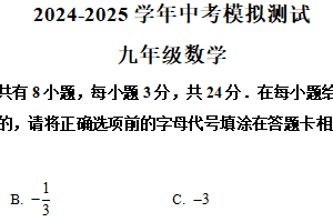 江苏省连云港市东海县初级中学2024—2025学年下学期九年级二模数学试题（含解析）