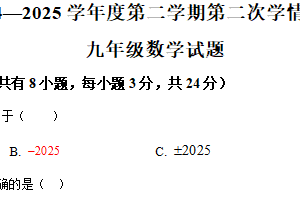 江苏省连云港市东海县实验中学2024—2025学年下学期九年级数学 二模试题（含解析）