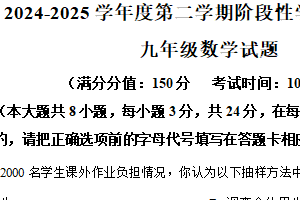 江苏省连云港市灌南县淮河路实验学校2024-2025学年下学期阶段性学业质量检测九年级数学试题（含解析）