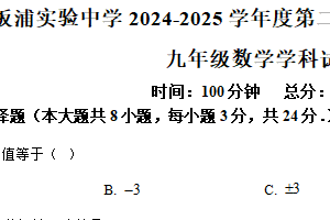 江苏省连云港市海州区板浦实验中学2024-2025学年下学期九年级数学3月月考试题（含解析）