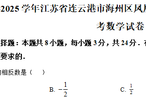 江苏省连云港市海州区凤凰学校2024-2025学年九年级下学期第一次段考数学试卷（含解析）