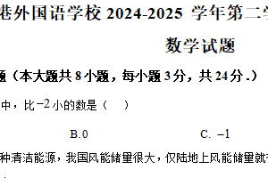 江苏省连云港市外国语学校2024-2025学年下学期九年级数学第一次月考试题（含解析）