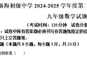 江苏省连云港市新海初级中学2024-2025学年九年级下学期数学第二次月考试题（含解析）